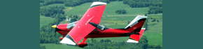 Airplane in Flight